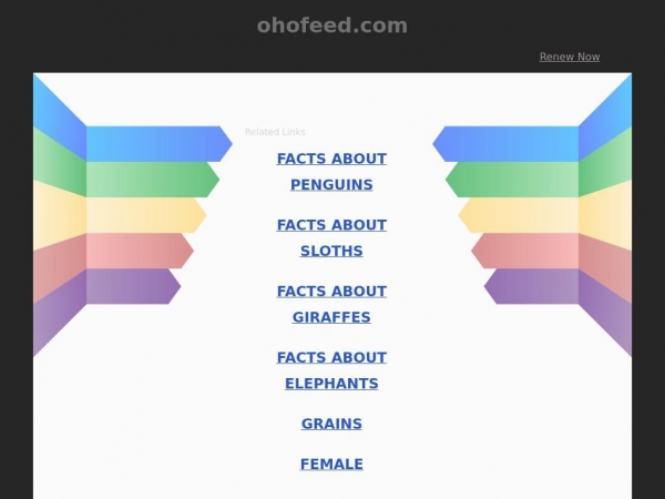 ohofeed.com