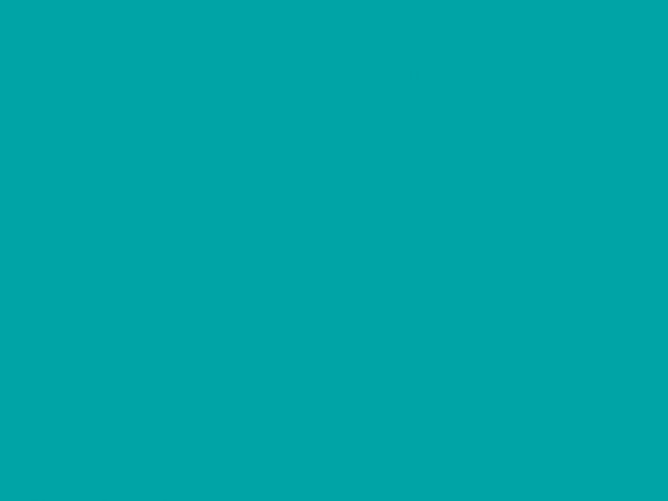 bloggerwing.com