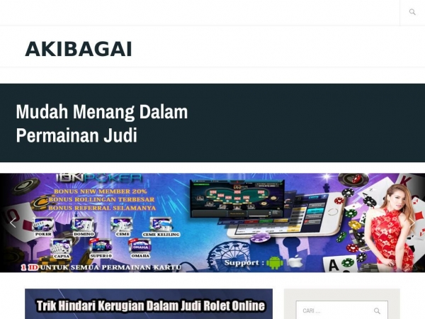 akibagai.com