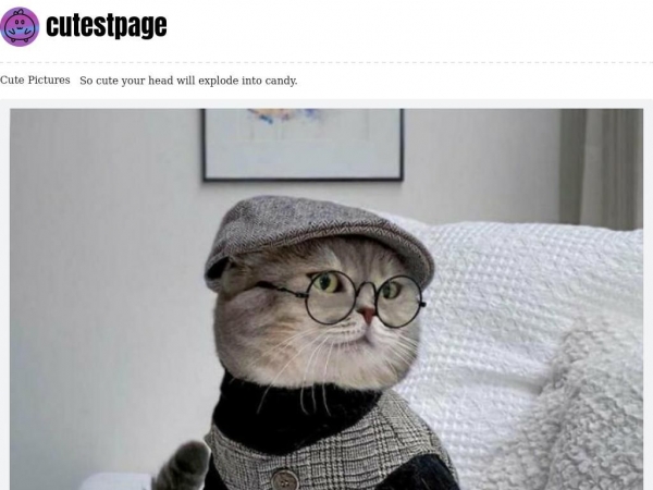 cutestpage.com