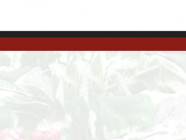 luluschocolate.com