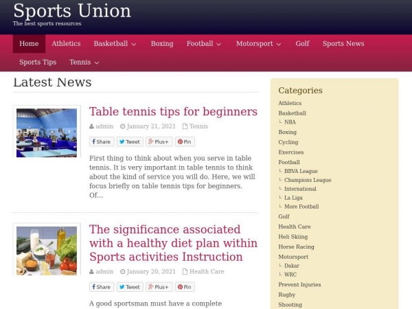 thesportsunion.com