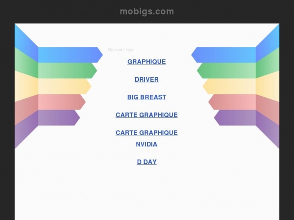 mobigs.com